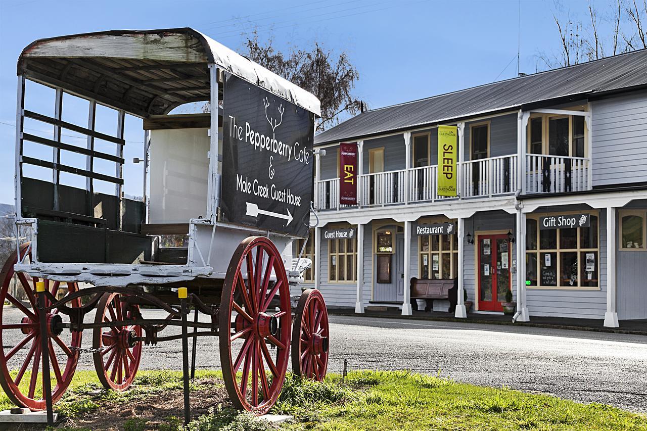 Mole Creek Guesthouse Dış mekan fotoğraf