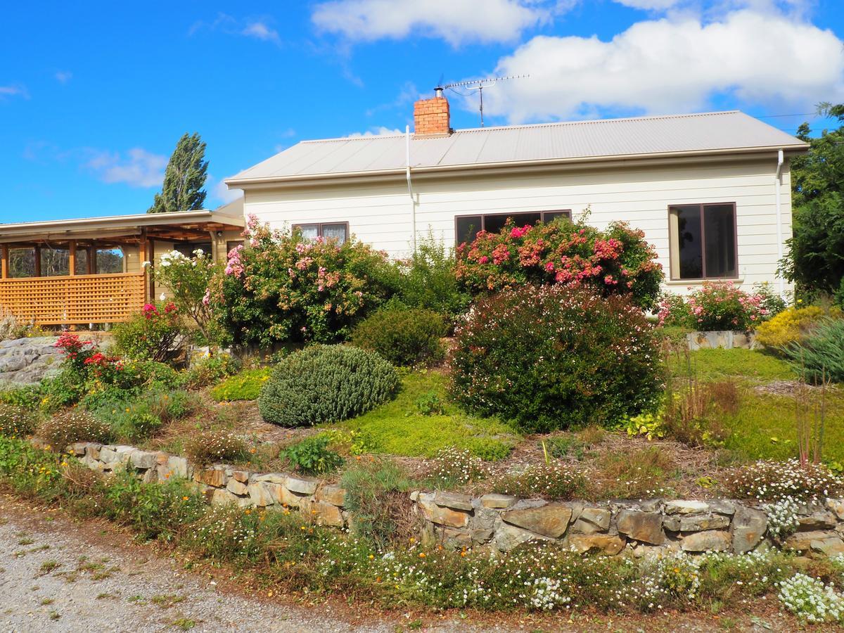 Mole Creek Guesthouse Dış mekan fotoğraf