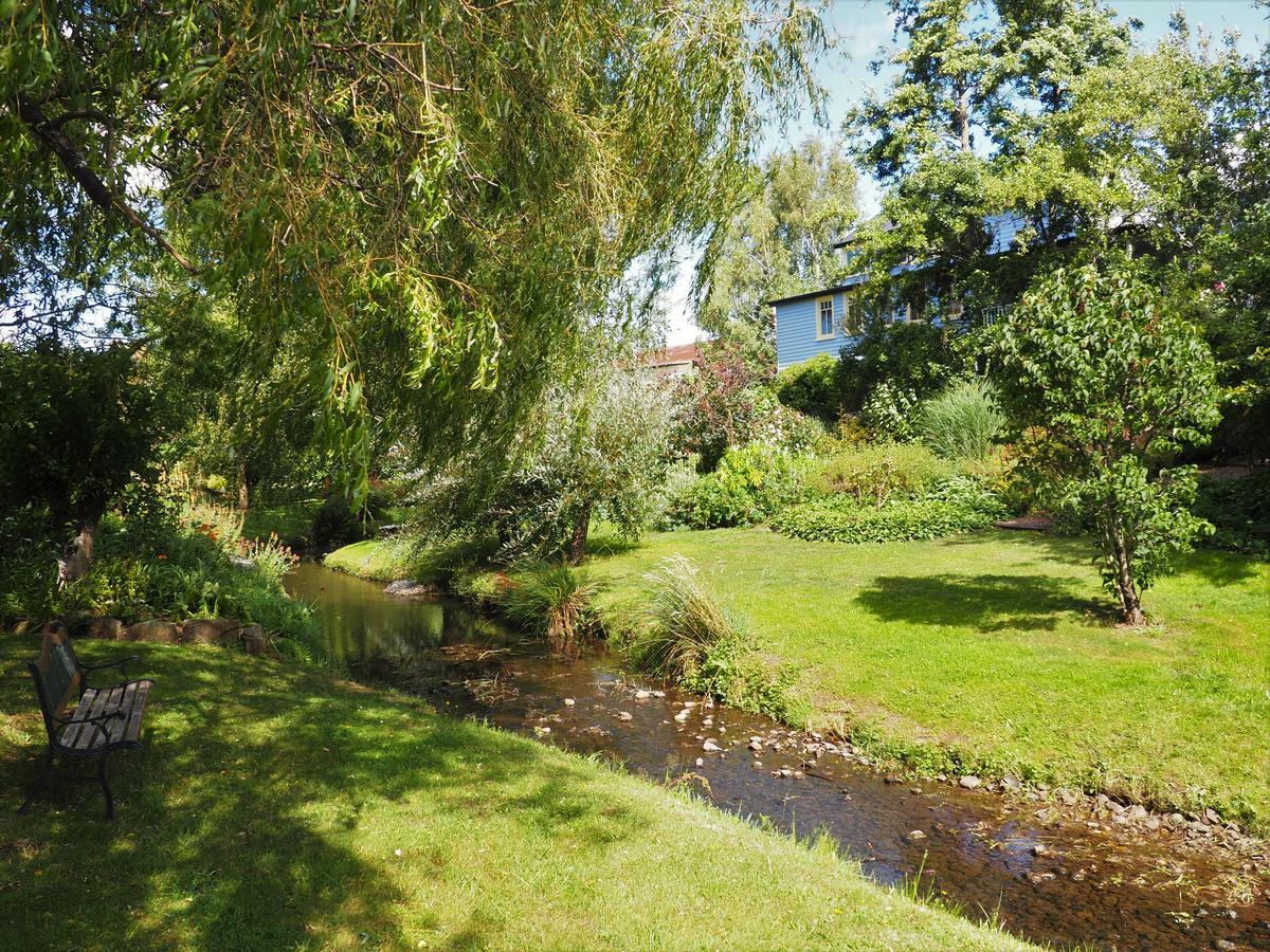 Mole Creek Guesthouse Dış mekan fotoğraf