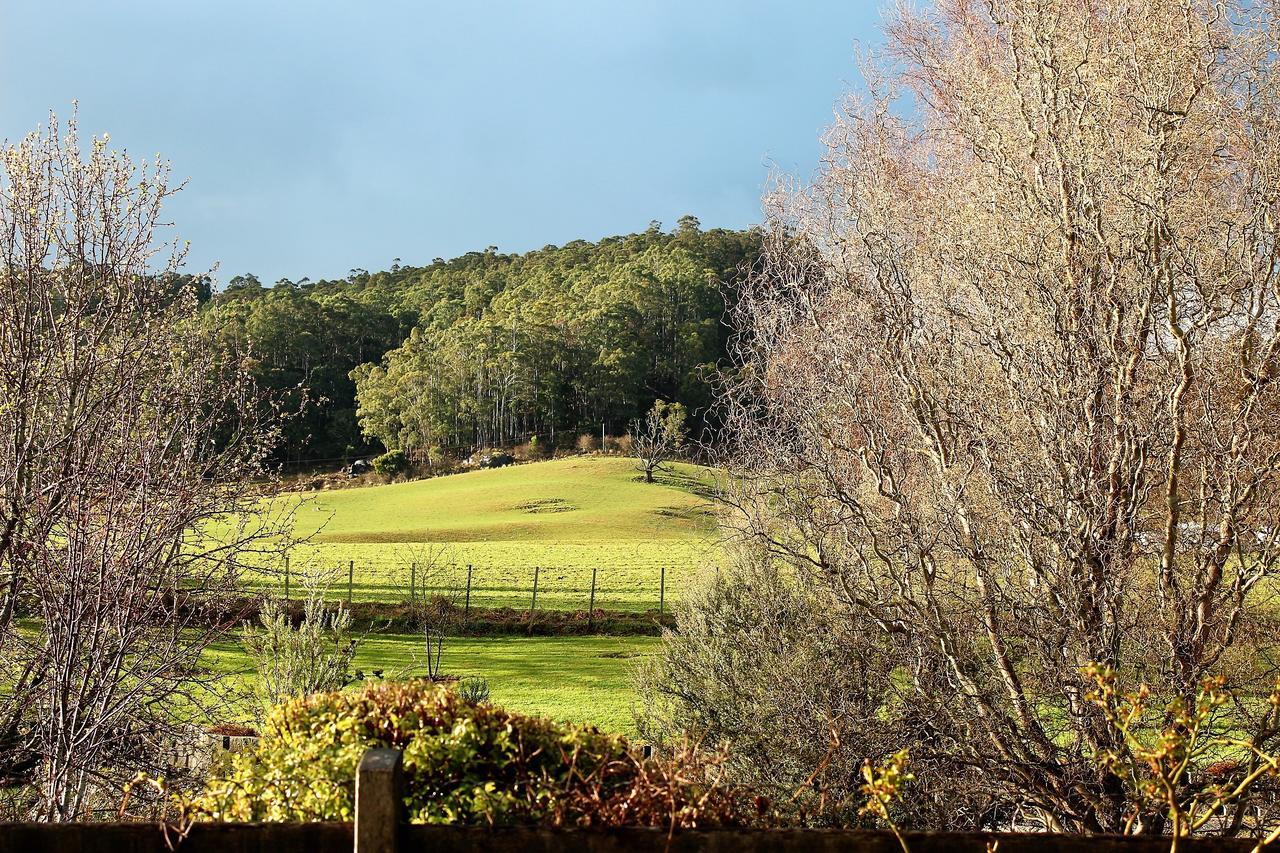 Mole Creek Guesthouse Dış mekan fotoğraf