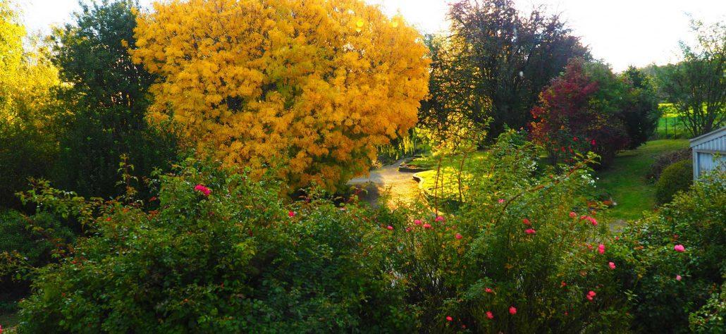 Mole Creek Guesthouse Dış mekan fotoğraf