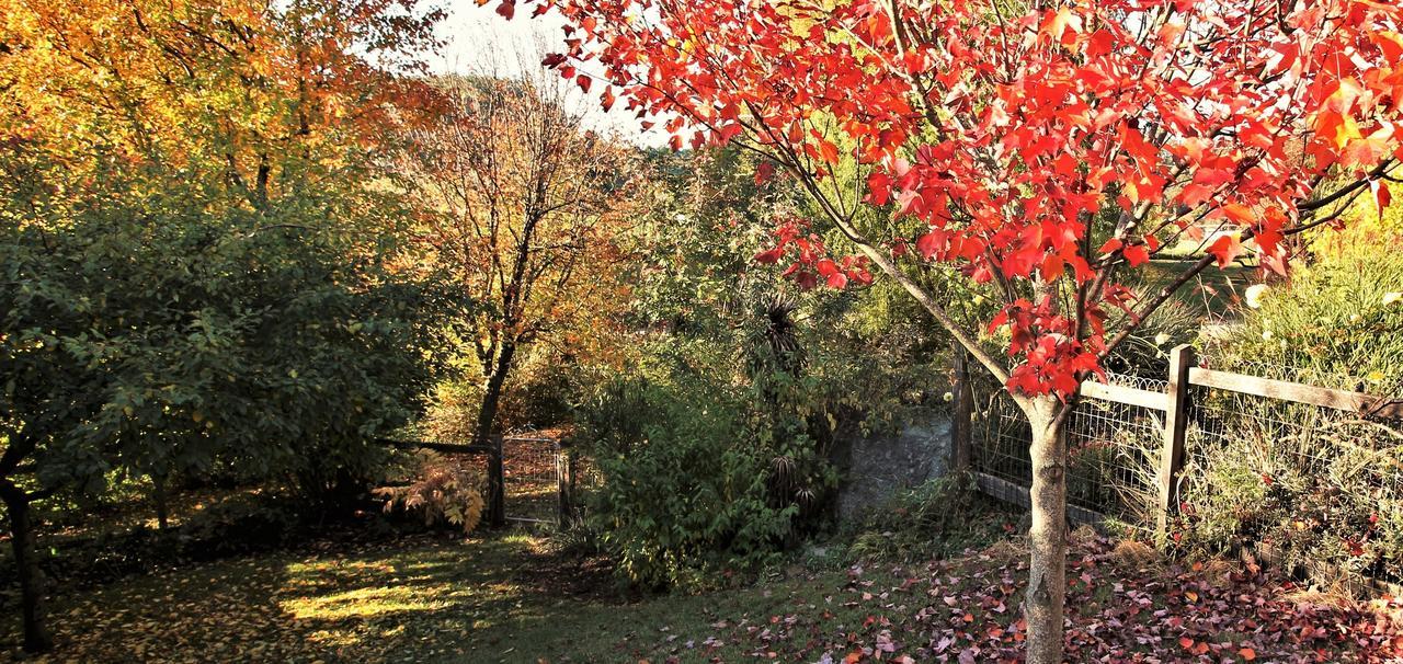 Mole Creek Guesthouse Dış mekan fotoğraf